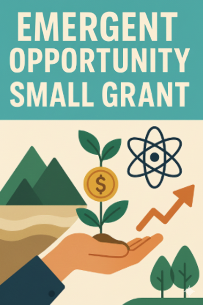 Emergent_Opportunities_Small_Grant
